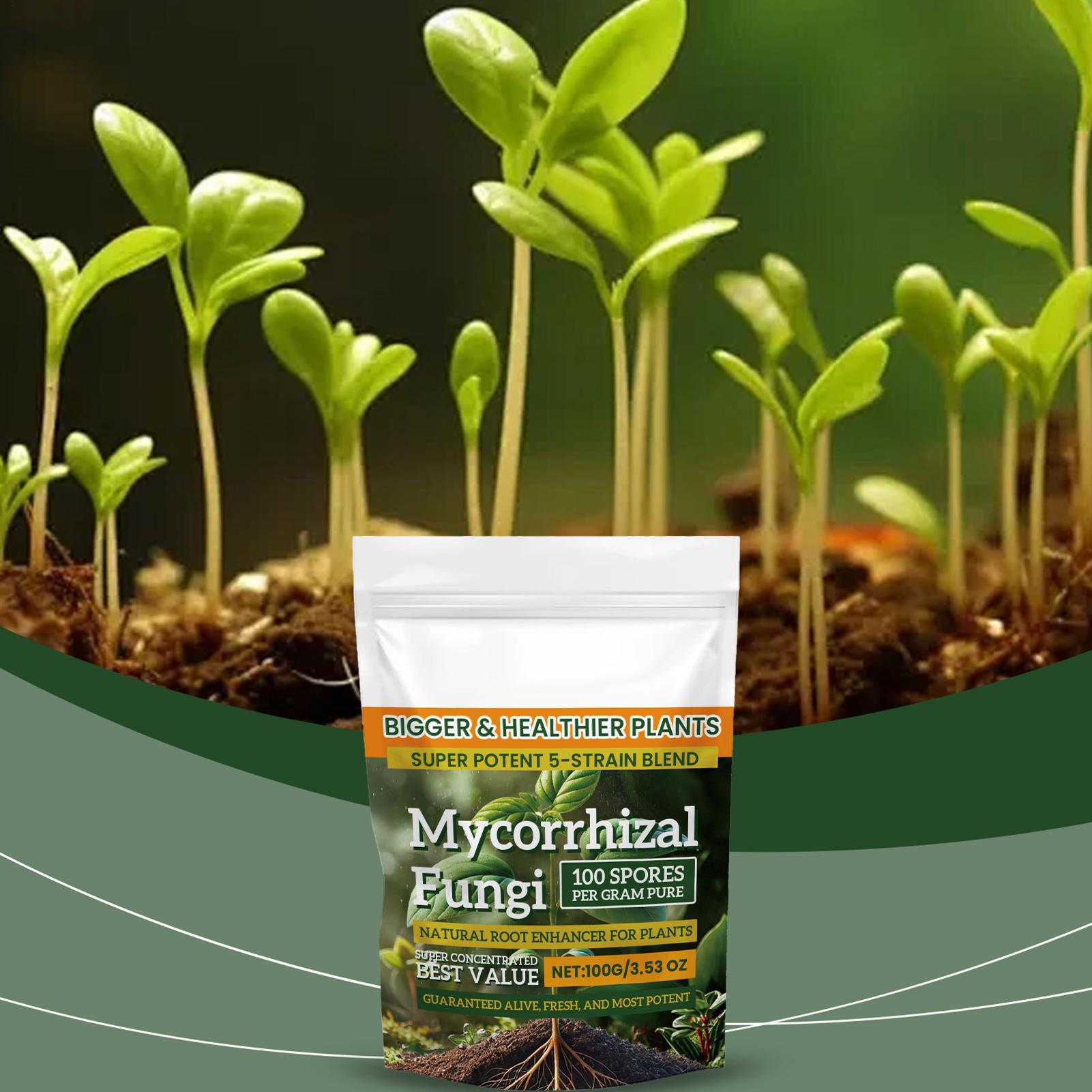 Roots Nutrition & Fitness Inglewood Photos - 100g Organiczny Proszek Wzmacniający Korzenie Roślin,