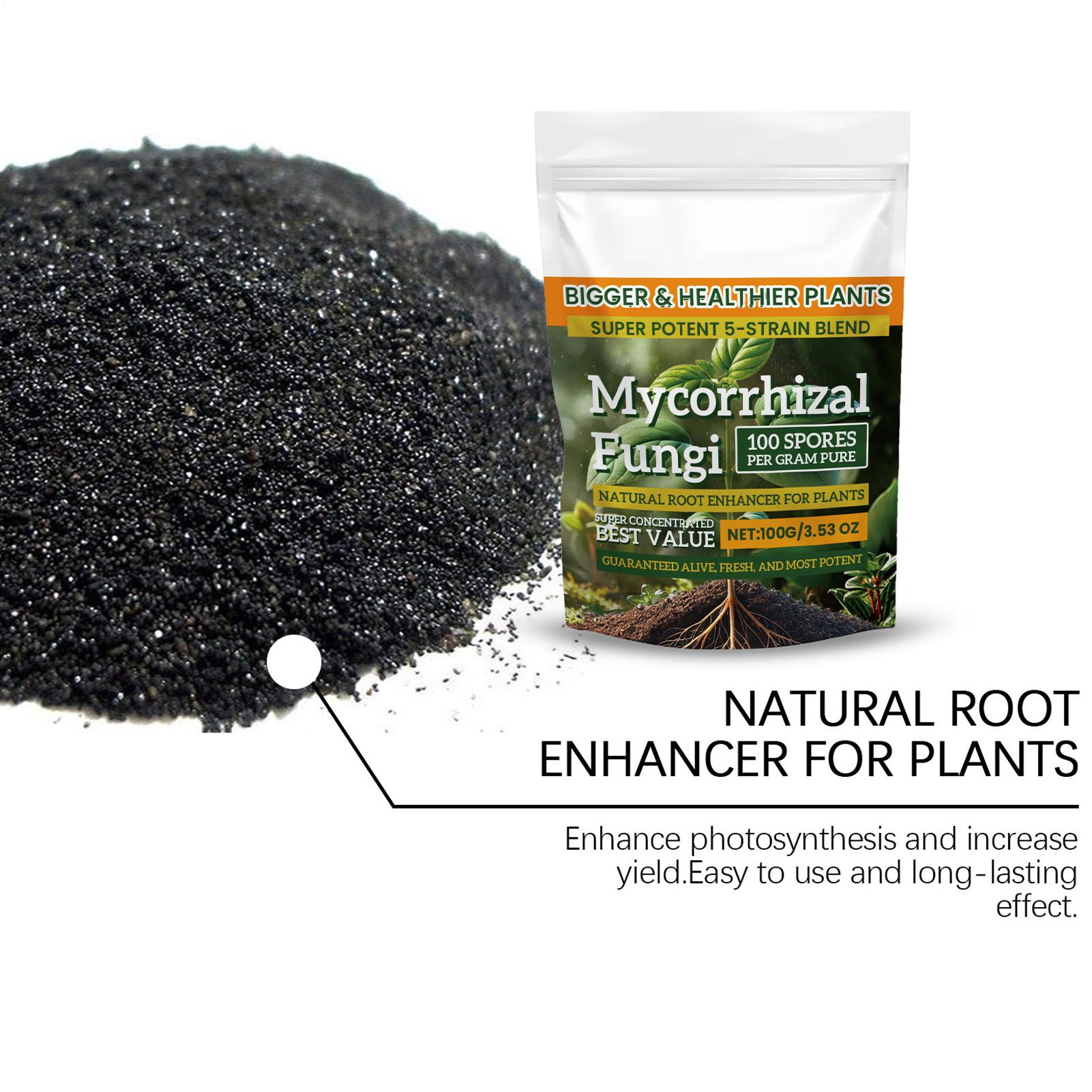 100g Proszku Wzmacniającego Ko – Roots Nutrition & Fitness Inglewood Photos recenzja i cena