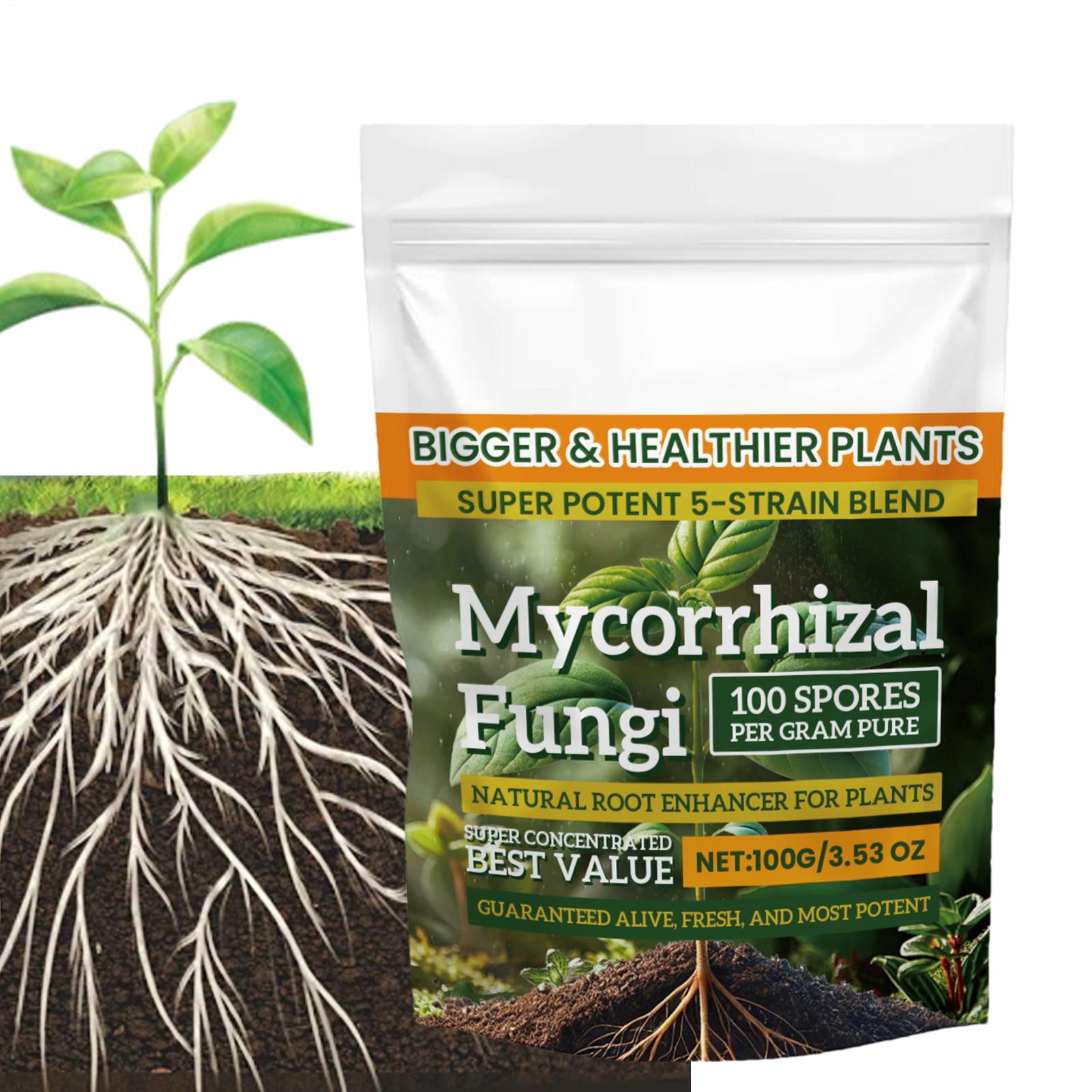 100g Proszku Wzmacniającego Ko – Roots Nutrition & Fitness Inglewood Photos recenzja i cena